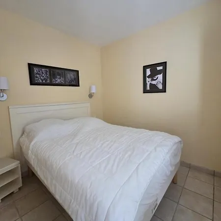 Tatil Evi De Terrasse Et Jardin - D'olonne *